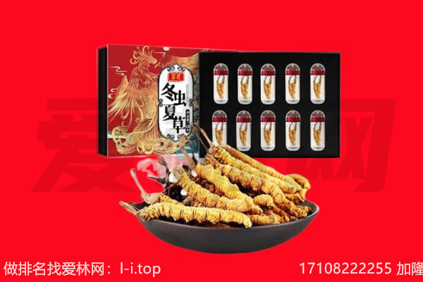 宁德市福鼎回收虫草.jpg